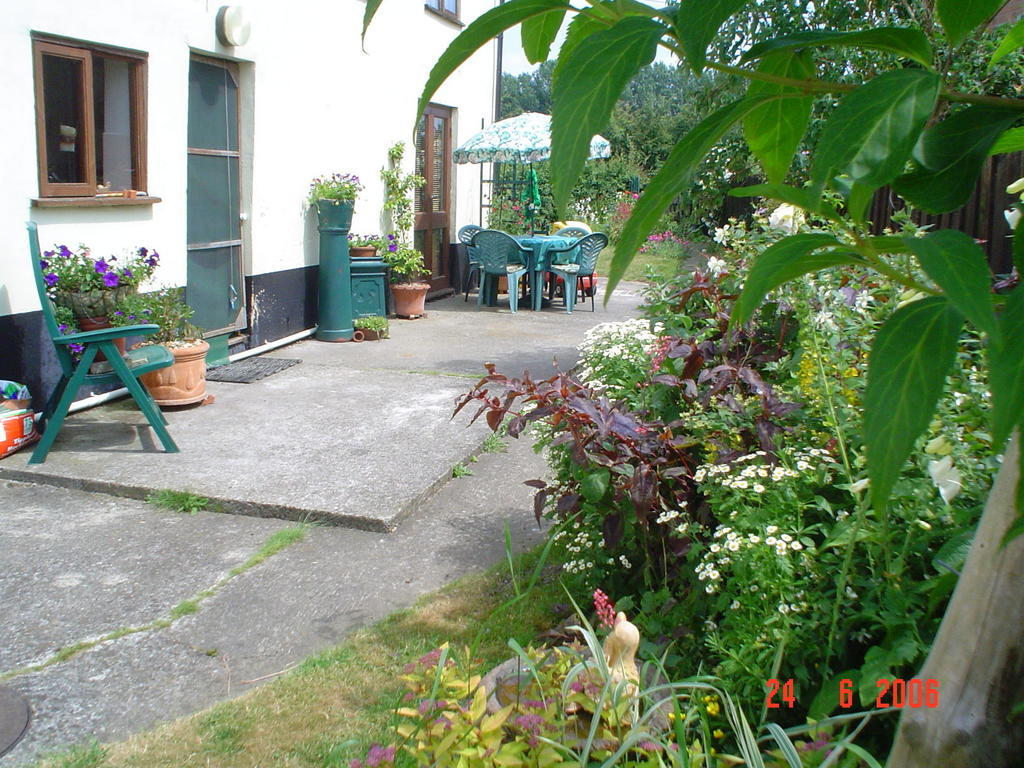 The Elms Bed and Breakfast East Harling Eksteriør billede